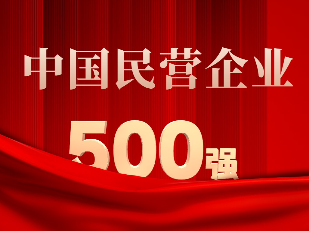 大明第9次入榜“中国民营企业500强”