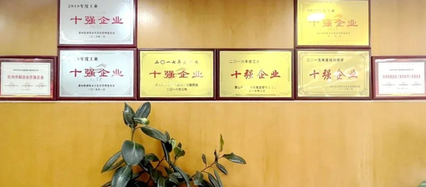 大明杭州加工中心再次入选萧山百强企业榜单