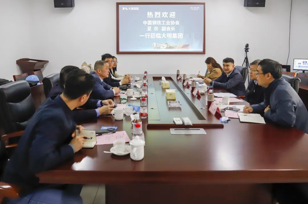 中国钢铁工业协会夏农副会长一行来访大明